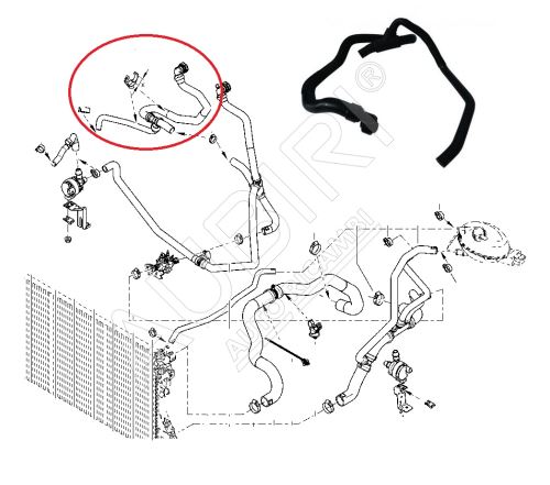 Hadice vody Renault Master od 2010 2,3 dCi, zadní náhon