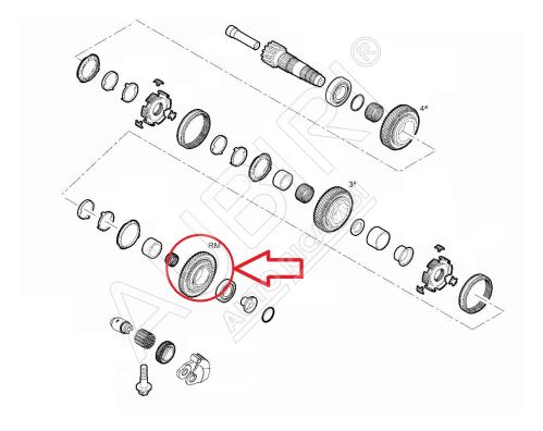 Ozubené kolo Fiat Ducato od 2021 2,2D, Doblo 2010-2022 pro zpátečku, 11/44 zubů