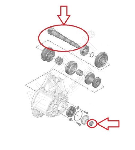 Hřídel převodovky Citroën Berlingo, Partner od 2018 sekundární, 17/71 zubů