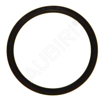 Těsnění zátky nalévacího hrdla Renault Master 1998-2010 2,5D, Trafic 2001-2014 1,9/2,5D
