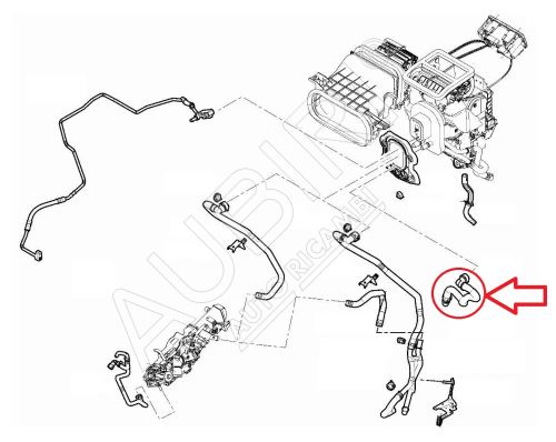 Hadice topení Fiat Ducato od 2021 2,2D