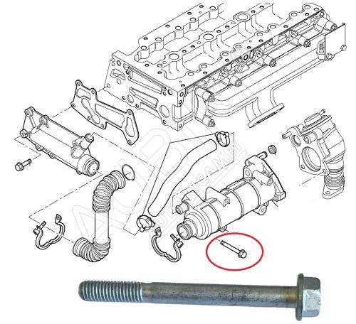 Šroub EGR ventilu Fiat Ducato 3,0 M8x80mm