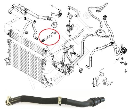 Hadice chladiče vody Renault Master 2010- 2,3 Dci