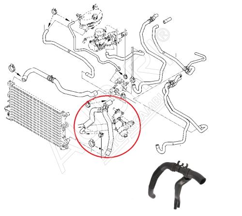 Hadice chladiče vody Renault Master 2003 - 2010 2,5 dCi