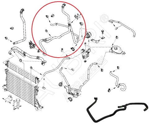 Hadice vody Renault Master od 2010 2,3 dCi