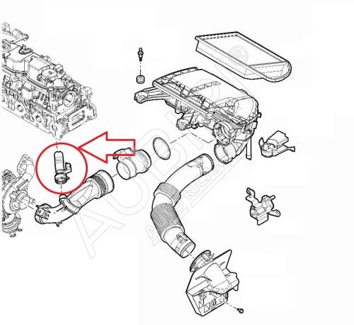 Hadice odvětrání motoru Citroën Jumpy, Berlingo od 2007 1,6D s žhavením