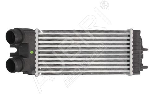 Intercooler Citroën Berlingo, Partner 2005-2011 1,6 HDi